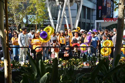 DSC_7105 (Large).JPG